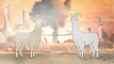 Two Llamas Are Standing Next To Each Other With The Word You In The Foreground GIF
