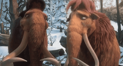 Two Mammoths Standing In Snow GIF