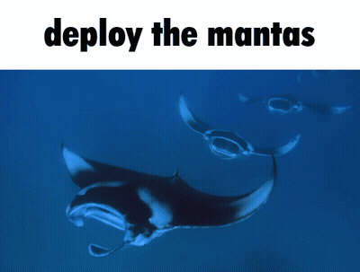 Two Manta Rays Swimming With Deploy The Manta GIF