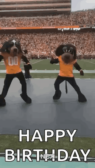 Two Mascots Are Dancing On A Field With The Words Happy Birthday GIF