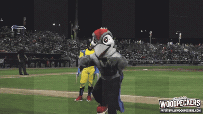 Two Mascots on Baseball Field With Woodpeckers Logo