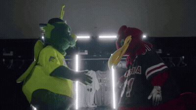Two Mascots Standing Next To Each Other One Wearing Arizona Jersey GIF