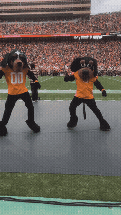 Two Mascots Wearing Orange Shirts With The Number 00 GIF