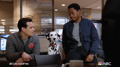 Two Men And Dalmatian Sitting At Table With NBC GIF