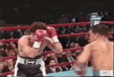Two Men Are Fighting In A Boxing Ring And One Of Them Has The Letter P On His Shorts GIF