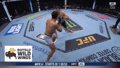 Two Men Are Fighting In A Boxing Ring Sponsored By Bud Light And Ufc GIF