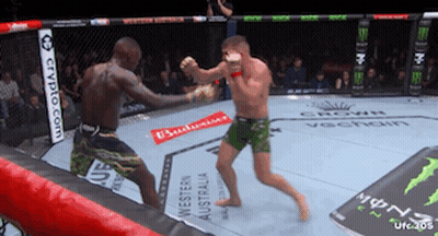 Two Men Are Fighting In A Boxing Ring Sponsored By Budweiser And Monster Energy GIF