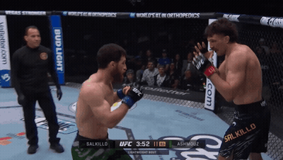 Two Men Are Fighting In A Boxing Ring With A Bud Light Advertisement Behind Them GIF