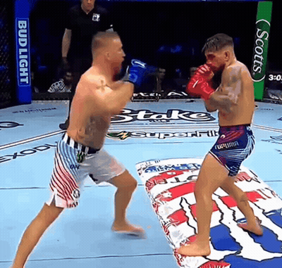 Two Men Are Fighting In A Boxing Ring With A Bud Light Sign In The Background GIF