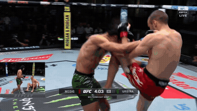 Two Men Are Fighting In A Boxing Ring With A Budweiser Banner Behind Them GIF