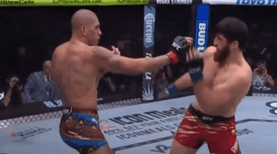 Two Men Are Fighting In A Boxing Ring With A Budweiser Sign In The Background GIF