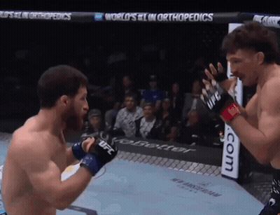 Two Men Are Fighting In A Boxing Ring With A Sign That Says World 'S # 1 In Orthopedics Behind Them GIF
