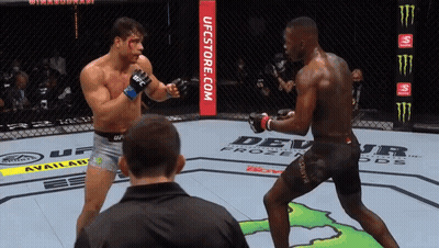 Two Men Are Fighting In A Boxing Ring With Ufcstore.com Written On The Corner GIF