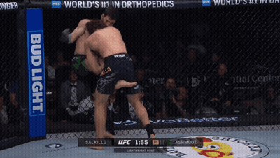 Two Men Are Fighting In A Cage With A Bud Light Banner On The Side GIF