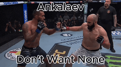 Two Men Are Fighting In A Cage With The Words " Ankaaev " On The Bottom GIF
