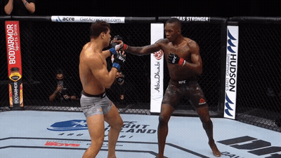 Two Men Are Fighting In A Ring With Ads For Hudson And Bodyarmor GIF