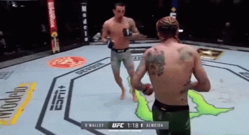 Two Men Are Fighting In A Ufc Ring And One Of Them Has A Tattoo On His Back .. GIF