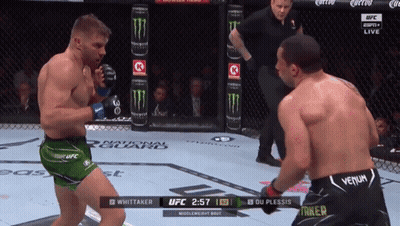 Two Men Are Fighting In A Ufc Ring And One Of Them Is Wearing A Venum Shorts GIF