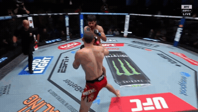 Two Men Are Fighting In A Ufc Ring With Ads For Bud Light And Monster Energy GIF