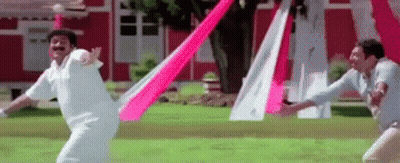 Two Men Are Playing A Game Of Cricket With A Pink And White Flag . GIF