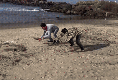 Two Men Are Playing In The Sand On A Beach With The Hashtag Viggle Ai GIF