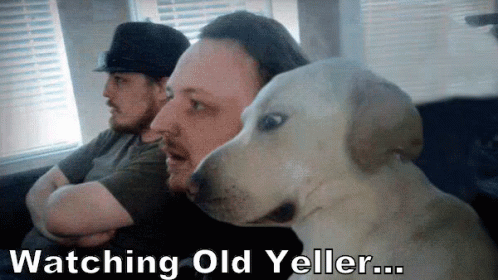 Two Men Are Sitting On A Couch With Their Arms Crossed And A Dog Looking At Them With The Caption Watching Old Yeller GIF