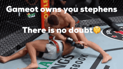 Two Men Are Wrestling In A Cage And The Caption Says Gameot Owns You Stephens There Is No Doubt . GIF