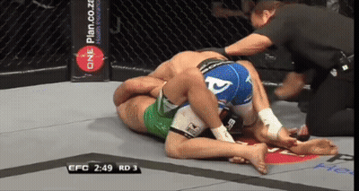 Two Men Are Wrestling In A Ring With A Sign That Says One Plan On It GIF
