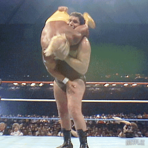 Two Men Are Wrestling In A Ring With Netflix Written On The Bottom Right Corner GIF