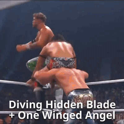 Two Men Are Wrestling In A Ring With The Words Diving Hidden Blade + One Winged Angel GIF