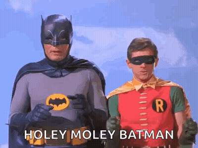 Two Men As Batman And Robin Saying Holey Moley Batman GIF
