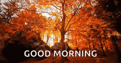 Two Men Asking But What About Second Breakfast GIF