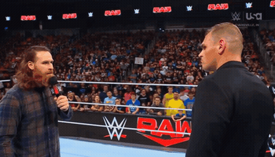 Two Men At Wrestling Ring Saying Raw GIF