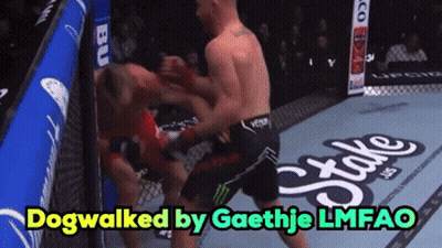 Two Men Boxing Dogwalked By Gaethje Lmfao GIF