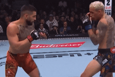 Two Men Boxing In Front Of Budweiser Banner GIF
