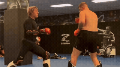 Two Men Boxing In Gym With Zebra Logo GIF