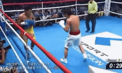 Two Men Boxing In Ring GIF