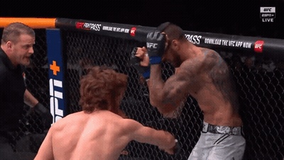 Two Men Boxing In Ring Fightpass GIF