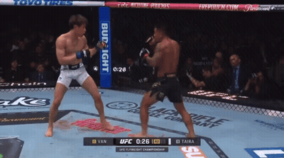 Two Men Boxing In Ring With Bud Light Sign GIF