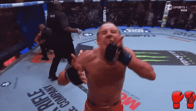 Two Men Boxing Pootards In Shambles GIF