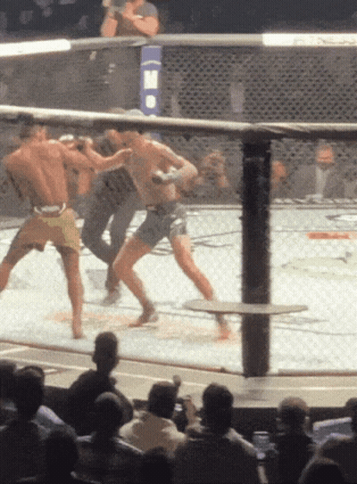 Two Men Boxing With Blue I-M-O Banner GIF