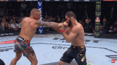 Two Men Boxing With UFC Shorts GIF