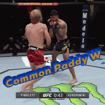 Two Men Fighting Boxing Ring Common Paddy GIF