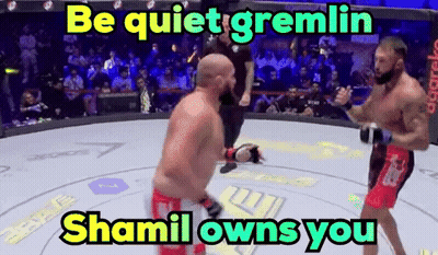Two Men Fighting In A Ring Be Quiet Gremlin Shamil Owns You GIF