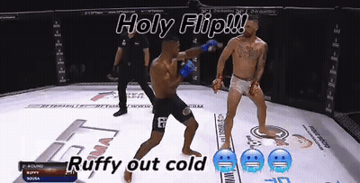 Two Men Fighting In A Ring Holy Flip Ruffy Out Cold GIF
