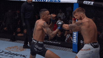 Two Men Fighting In Boxing Ring GIF