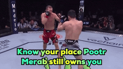 Two Men Fighting In Boxing Ring Know Your Place Pootr Merab Still Owns You GIF