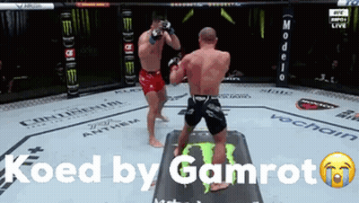 Two Men Fighting In Boxing Ring Koed By Gamrot GIF