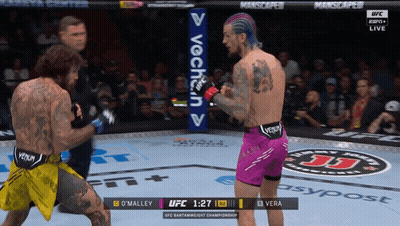 Two Men Fighting In Boxing Ring, Purple Venom Shorts GIF