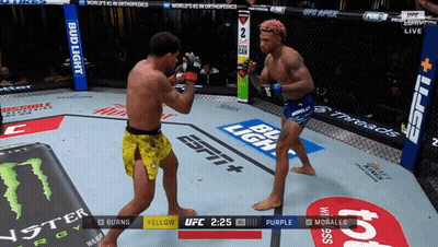Two Men Fighting In Boxing Ring Sponsored By Bud Light And Monster Energy GIF